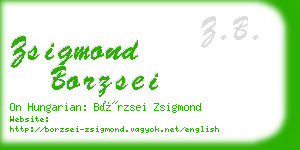zsigmond borzsei business card